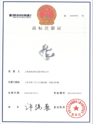 Trademark registration certificate 12539523