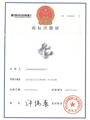 Trademark registration certificate 12539681